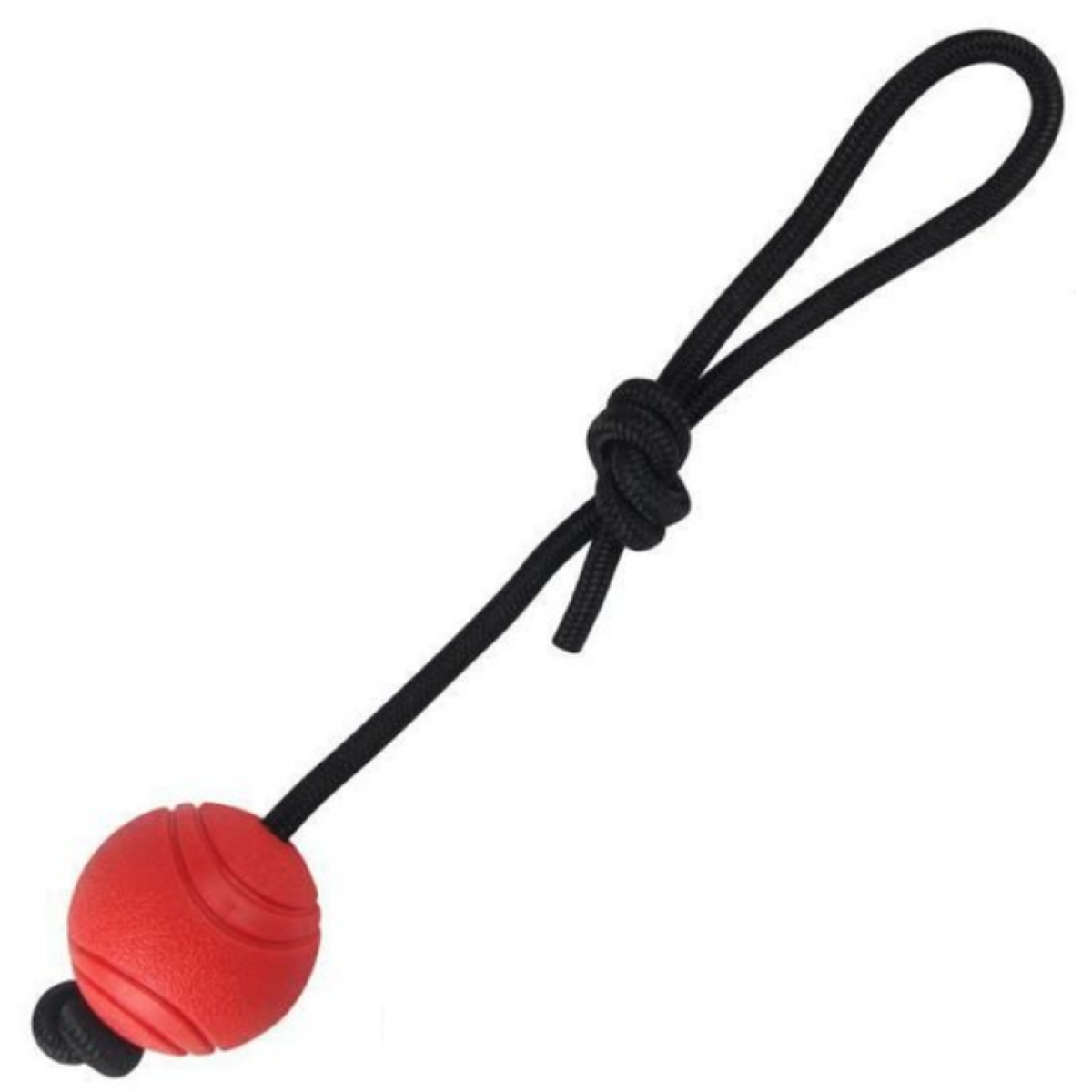 Παιχνίδι Σκύλου Μπάλα Με Σχοινί Nunbell 19418-249