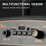 ZQS-8173W Φορητό Ηχείο Bluetooth 20W με Ασύρματο Μικρόφωνο & Τηλεχειριστήριο