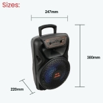 ZQS-8173W Φορητό Ηχείο Bluetooth 20W με Ασύρματο Μικρόφωνο & Τηλεχειριστήριο