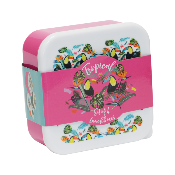 FIZZ Tropical Lunch Boxes 1342