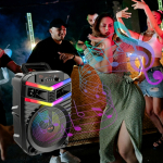 Φορητό Ηχείο Bluetooth Karaoke 8” 20W με Μικρόφωνο ZQS8182W