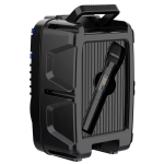 Φορητό Ηχείο Bluetooth Karaoke 8” 20W με Μικρόφωνο ZQS8182W