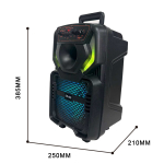 Φορητό Ηχείο Τρόλεϊ Καραόκε 8" Με Μικρόφωνο & RGB Φωτισμό DR-808 - Image 4