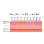 Συσκευή Microneedling Με Ρυθμιζόμενο Μήκος Βελόνας Και 6 Ταχύτητες Dr. Pen M8S - Image 3