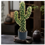 Τεχνητός Διακοσμητικός Kάκτος Σε Γλάστρα 65cm 81044