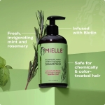 Mielle Organics Rosemary Mint Σαμπουάν Ενδυνάμωσης - 355ml - Image 4