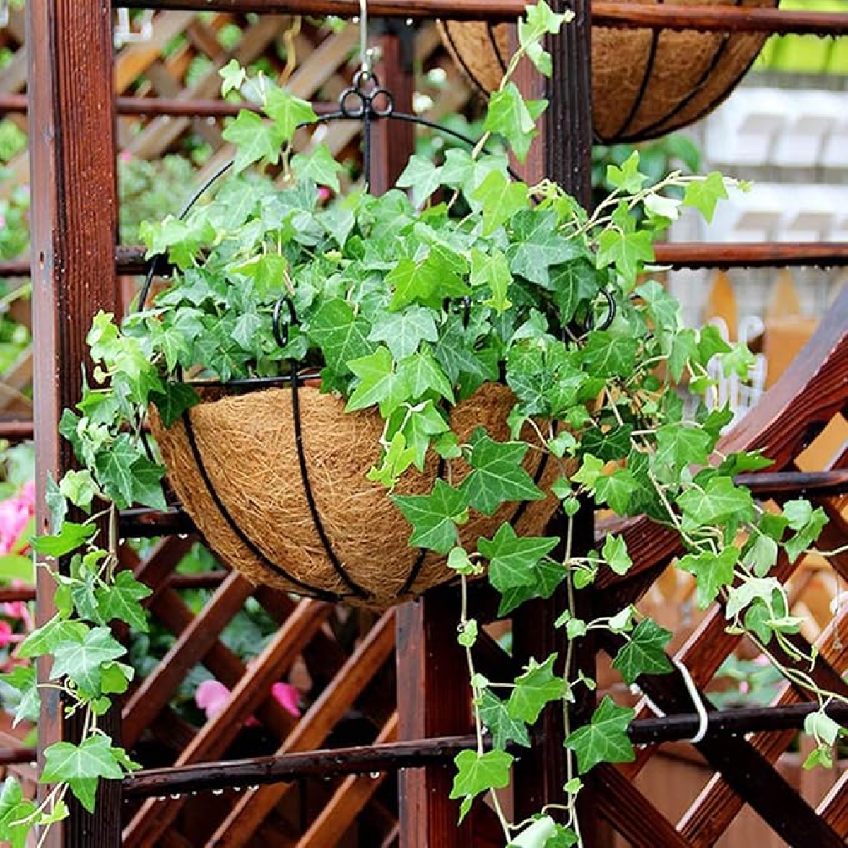 Κρεμαστό Κασπώ Φυτών από Κοκοφοίνικα 33x20x30cm Kmt Style 2904224 - Image 3