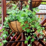 Κρεμαστό Κασπώ Φυτών από Κοκοφοίνικα 33x20x30cm Kmt Style 2904224 - Image 3