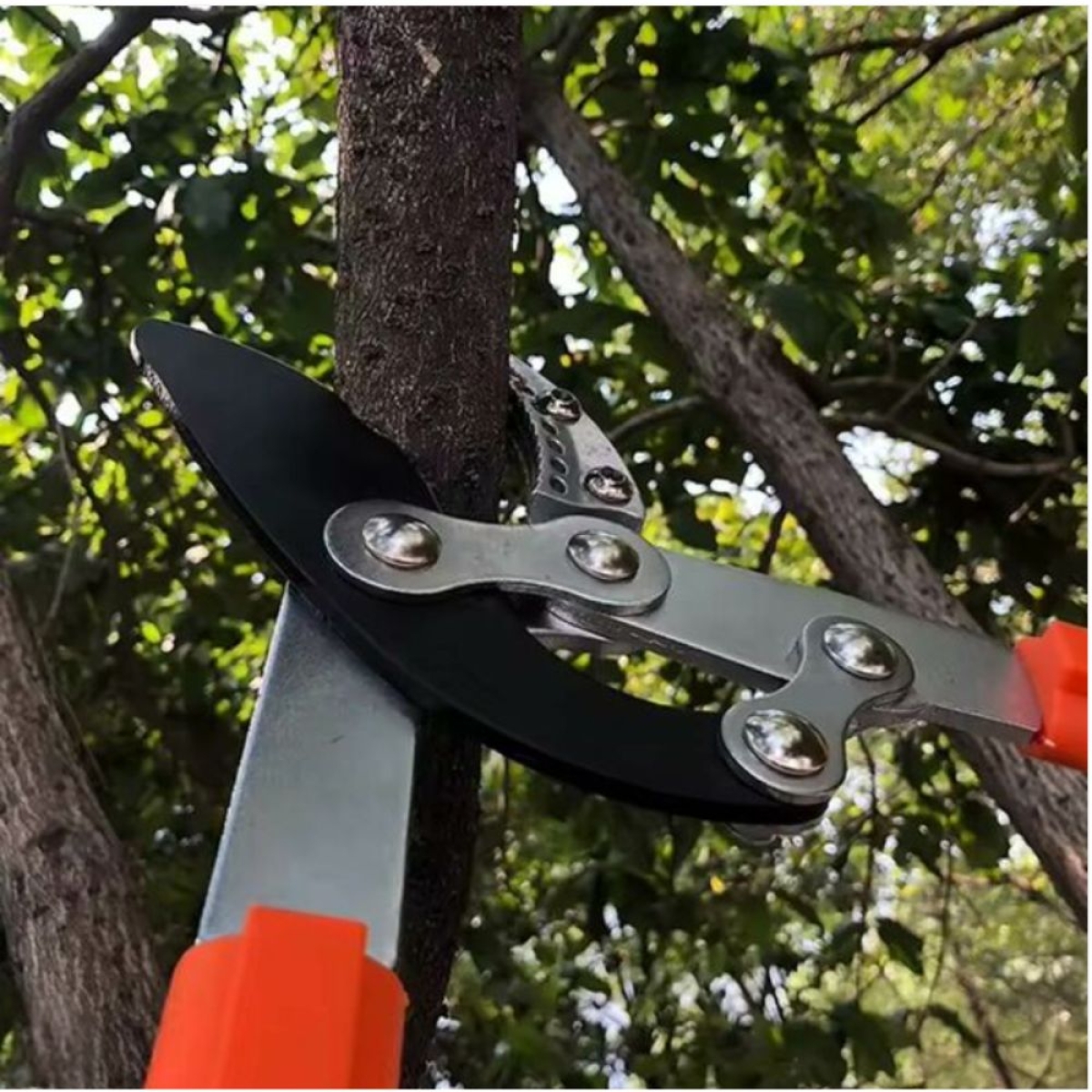 Ψαλίδι Κλαδέματος με Τηλεσκοπική Μεταλλική Λαβή και Μήκος 70 - 100cm