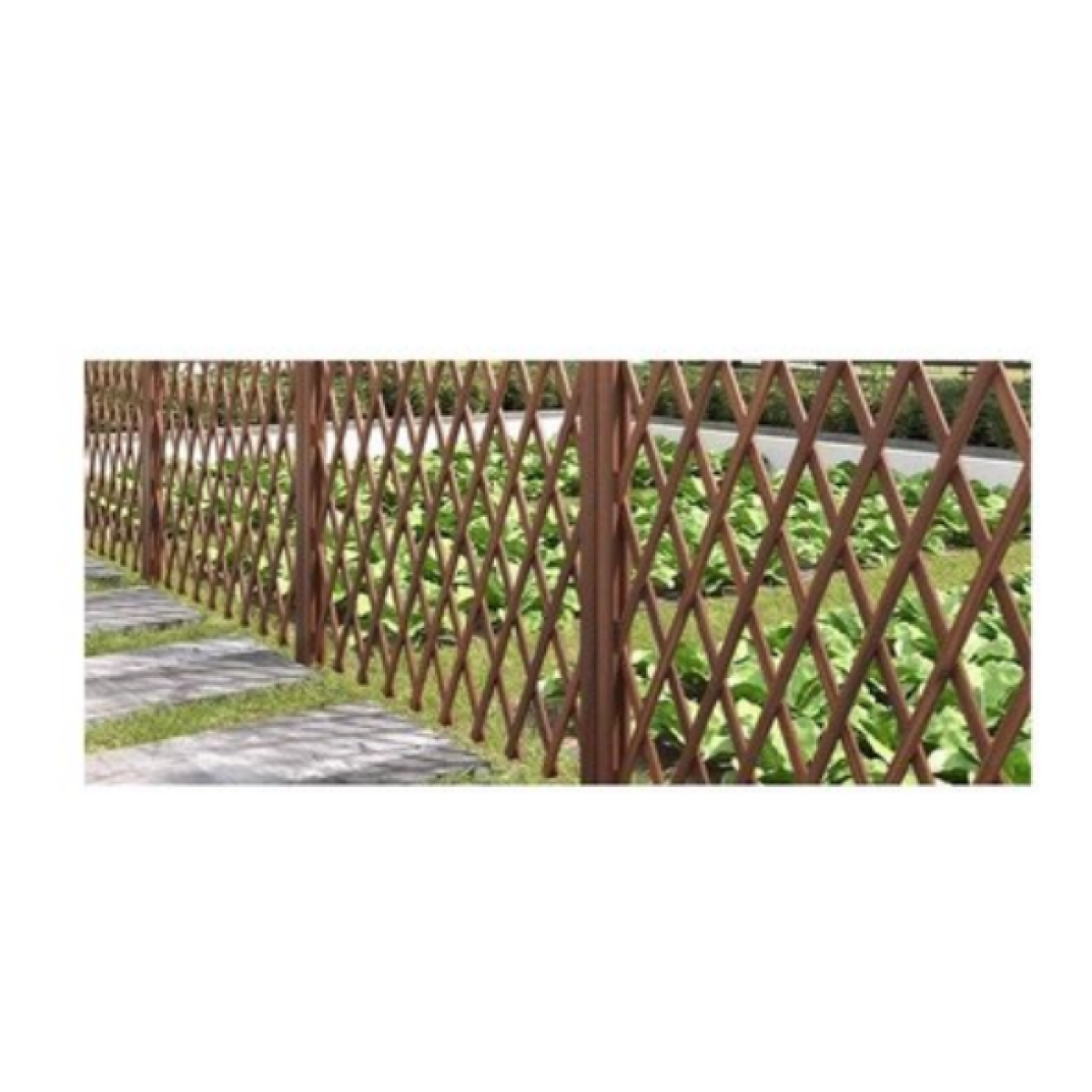 Πτυσσόμενη Ξύλινη Πέργκολα Κήπου 32-190x110cm 501968 - Image 2