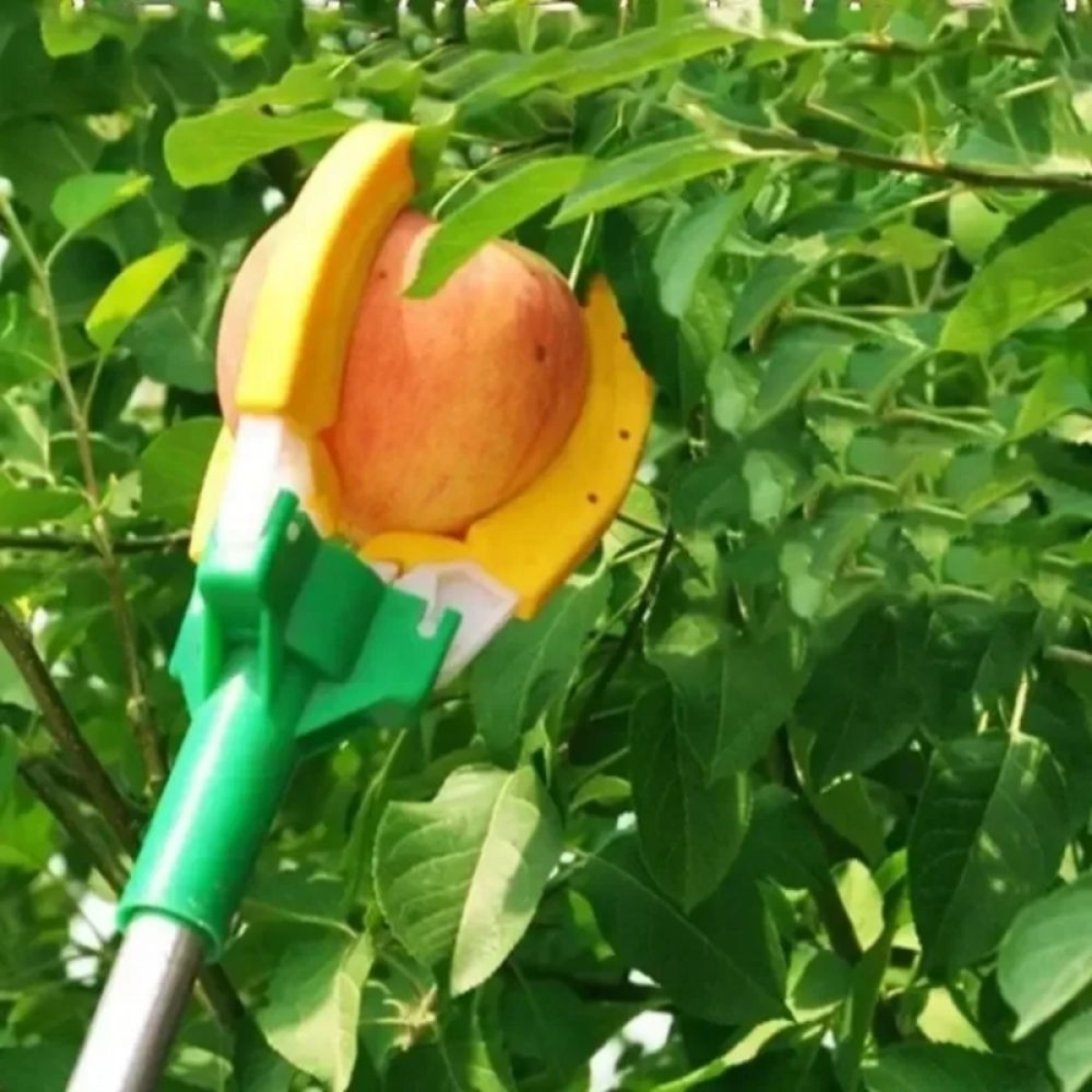 Συλλέκτης Καρπών και Φρούτων με Κοντάρι 1.5m