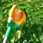 Συλλέκτης Καρπών και Φρούτων με Κοντάρι 1.5m