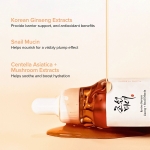 Beauty of Joseon Revive Ginseng + Snail Mucin Ενυδατικό & Αντιγηραντικό Essence Προσώπου με Έκκριμα Σαλιγκαριού 30ml - Image 4