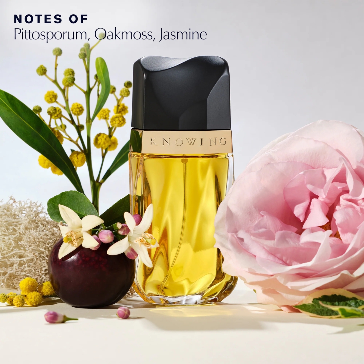 Estee Lauder Άρωμα Knowing Eau De Parfum 75 ml - W - Image 3