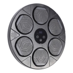 Επιτοίχια Συσκευή Πυγμαχίας QJB-55 με Bluetooth & LED