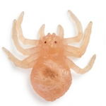 Squishy Παιχνίδι Anti-Stress Αράχνη 86602 - Image 6