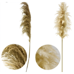 Τεχνητό Διακοσμητικό Κλαδί Pampas Grass 130cm 88127
