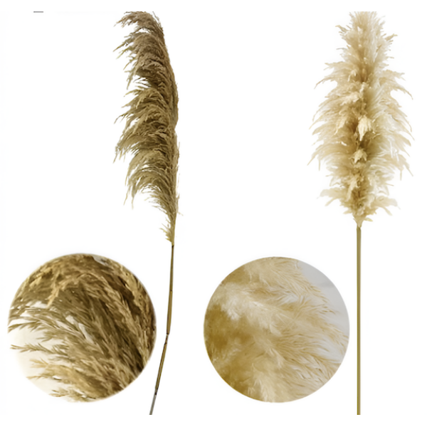 Τεχνητό Διακοσμητικό Κλαδί Pampas Grass 130cm 88127