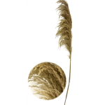 Τεχνητό Διακοσμητικό Κλαδί Pampas Grass 130cm 88127 - Image 4
