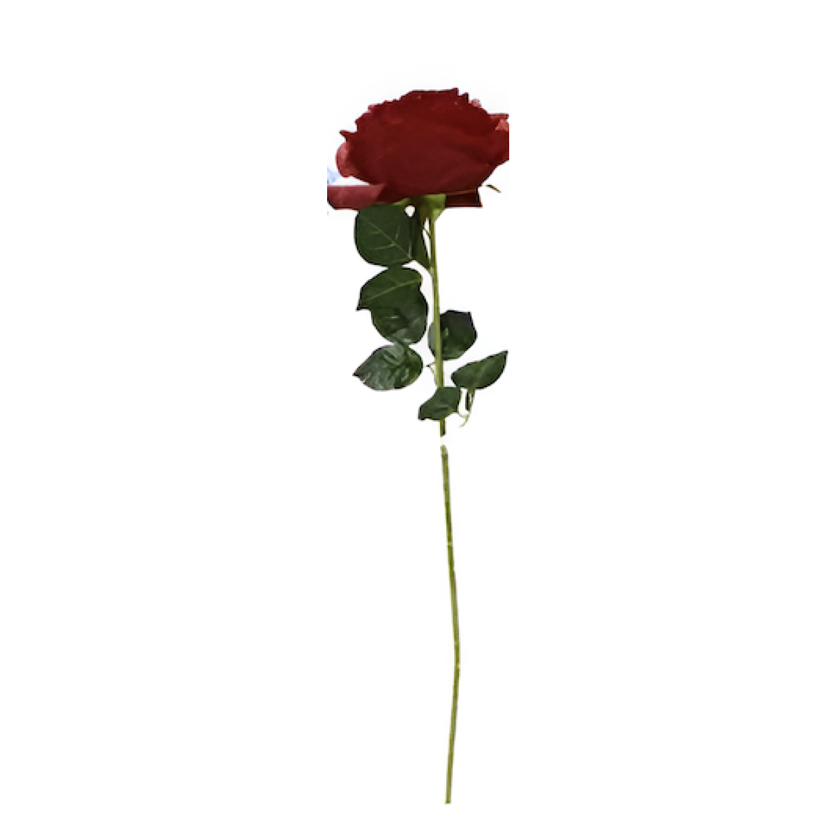 Τεχνητό Διακοσμητικό Λουλούδι 75cm 85503 - Image 4