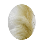 Τεχνητό Διακοσμητικό Pampas Grass Με Γλάστρα 150cm 88129 - Image 3