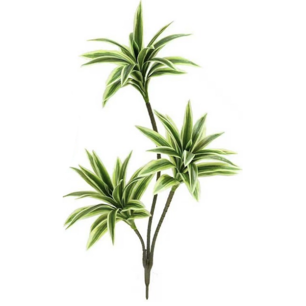 Διακοσμητικό Τεχνητό Φυτό Dracaena Πράσινο 0109-03