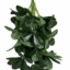 Διακοσμητικό Τεχνητό Κλαδί Money Tree (Pachira) με 18 Φύλλα 0109-07