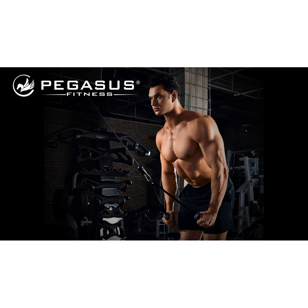 Pegasus® Σχοινί Τρικεφάλων με Λαβές - Image 7