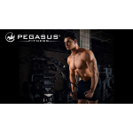 Pegasus® Σχοινί Τρικεφάλων με Λαβές - Image 7
