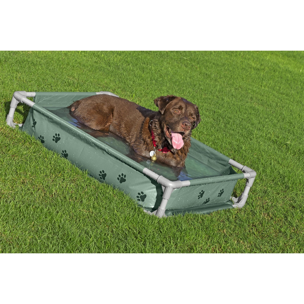 Φουσκωτή Πισίνα Κατοικιδίων 2 σε 1 Fetchin' Fun Pet 102x74x20 εκ. Bestway 561RG - Image 2