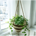 Κρεμαστό Διακοσμητικό Κασπώ Hanging Planter 19x16cm SDS-29397