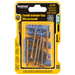 Βίδες 5x50mm & Ούπα E10 Σετ 6 Τεμαχίων BossTools 680127