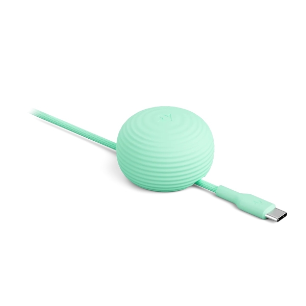 Twelve South CableStay (Mint) TS-2646