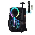 Φορητό Ηχείο Bluetooth NDR-P12 Karaoke 40W 12"