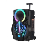 Φορητό Ηχείο Bluetooth NDR-P12 Karaoke 40W 12"