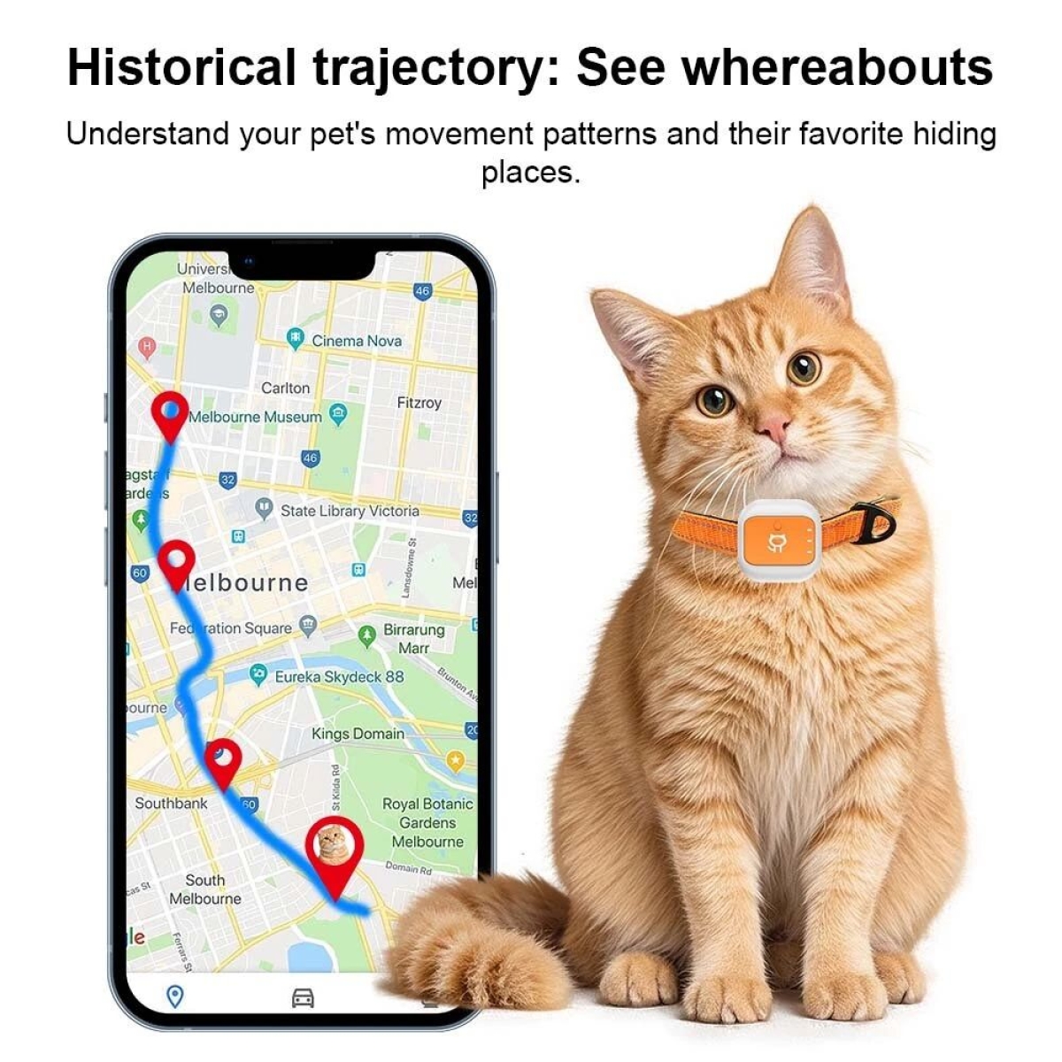 GPS Tracker Κατοικιδίων 4G LTE IP66 για Σκύλους και Γάτες