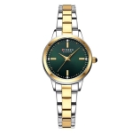 Γυναικείο Αναλογικό Ρολόι 28mm Quartz με Δίχρωμο Ατσάλινο Μπρασελέ Curren 9094-1