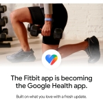 Google Smartband Fitbit Air Lavender - Image 2
