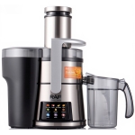 Αποχυμωτής 800W 2,4L με Διαχωρισμό Χυμού & Πολτού Slow Juicer RAF R.2950