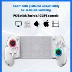 Ασύρματο Χειριστήριο Gaming Bluetooth για Android, iOS, PC & Nintendo Switch Q101 - Image 9