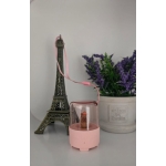 Mini Bluetooth Ηχείο Kawaii με USB & LED Φωτισμό, Σχέδιο Αρκουδάκι με Μήλο T-251 - Image 2