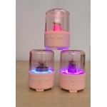 Mini Bluetooth Ηχείο Kawaii με USB, LED Φωτισμό & Σχέδιο Καπιμπάρα T-251 - Image 2