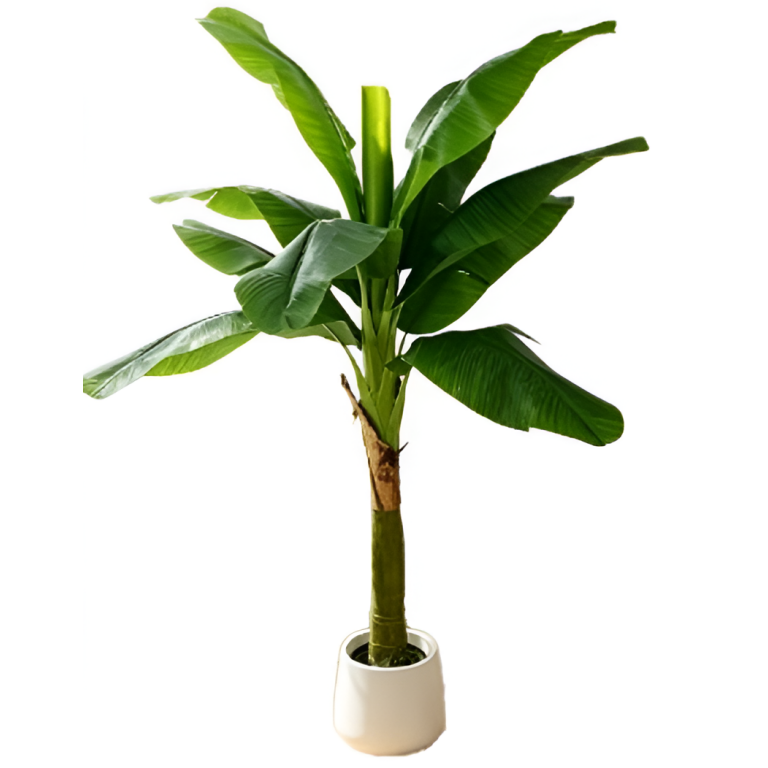 Τεχνητή Μπανανιά με 10 Φύλλα 180cm – 29789