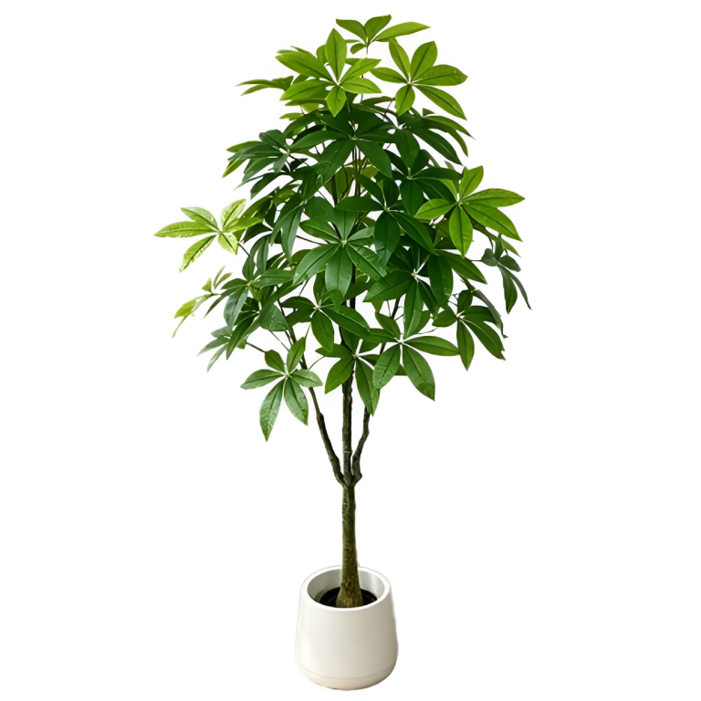 Τεχνητή Παχίρα 150cm με 56 Φύλλα – 29756