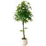 Τεχνητή Παχίρα 170cm με 77 Φύλλα – 29755