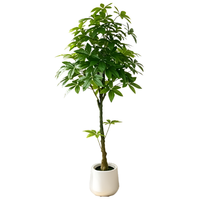 Τεχνητή Παχίρα 170cm με 77 Φύλλα – 29755