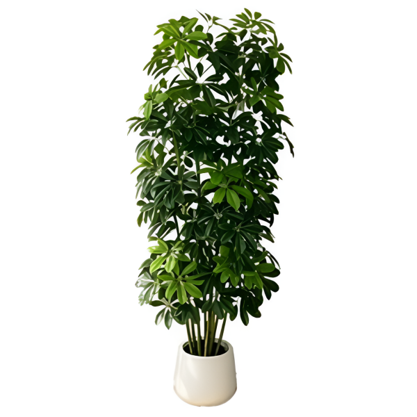 Τεχνητή Σεφλέρα 160cm με 154 Φύλλα – 29757