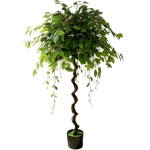 Τεχνητό Δέντρο Ficus Banyan 160cm – 29771