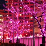 Χριστουγεννιάτικα Λαμπάκια 100 LED 10m με Πράσινο Καλώδιο & Ροζ Φωτισμό - Image 6