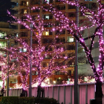Χριστουγεννιάτικα Λαμπάκια 100 LED 10m Σειρά με Διάφανο Καλώδιο & Ροζ Φωτισμό - Image 6